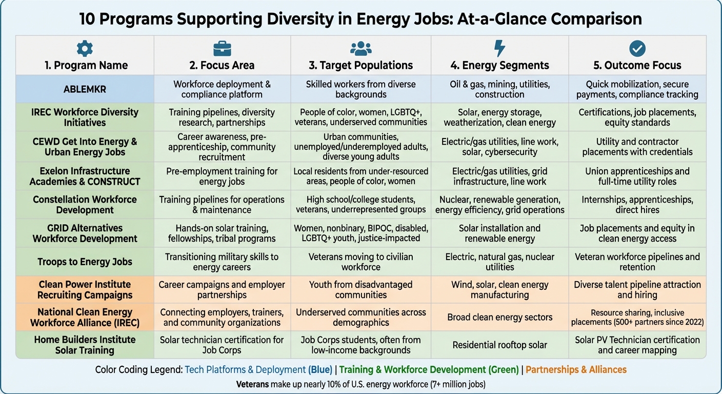10 Energy Diversity Programs Comparison: Focus Areas, Target Groups, and Outcomes