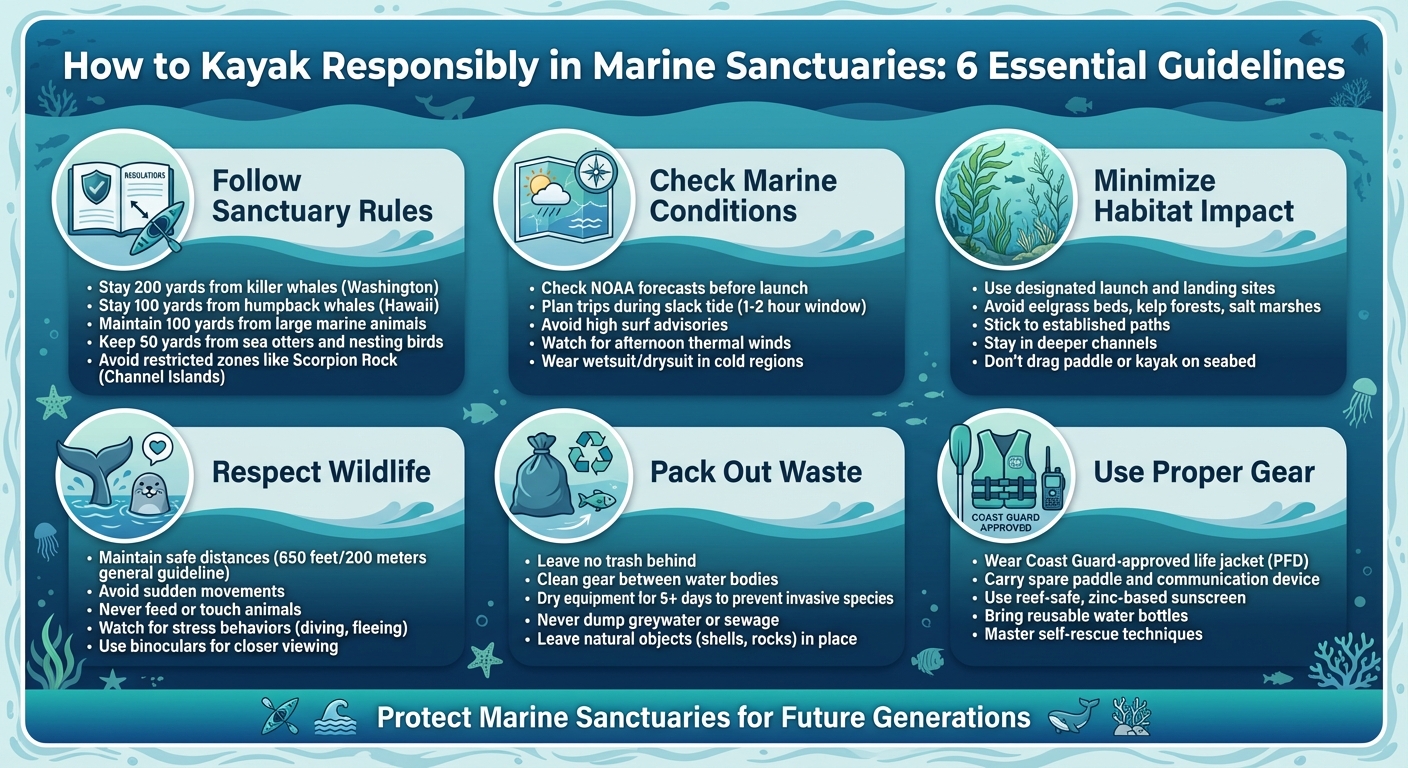 Essential Guidelines for Responsible Kayaking in Marine Sanctuaries