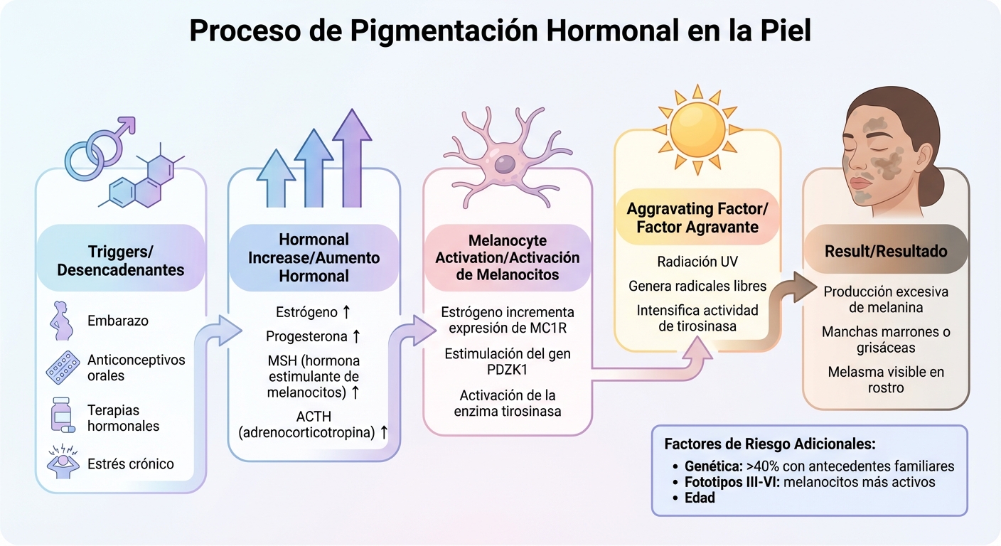 Cómo las hormonas causan pigmentación en la piel: proceso de melanina