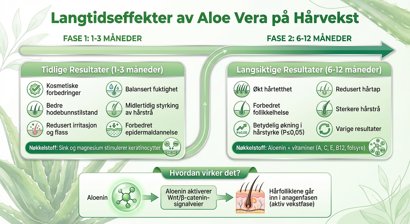 Aloe Vera Hårvekst Resultater Over Tid: 1-3 vs 6-12 Måneder