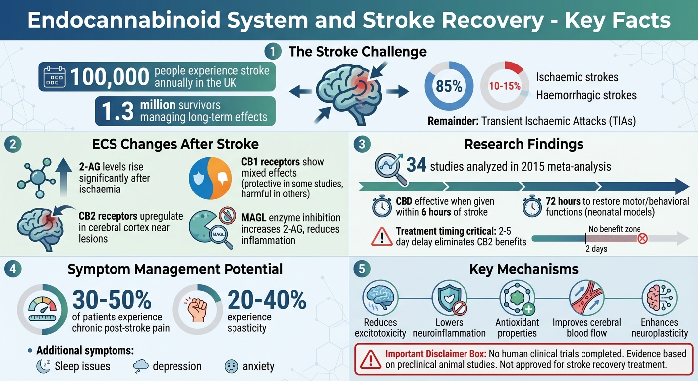 Endocannabinoid System Role in Stroke Recovery: Key Statistics and Mechanisms