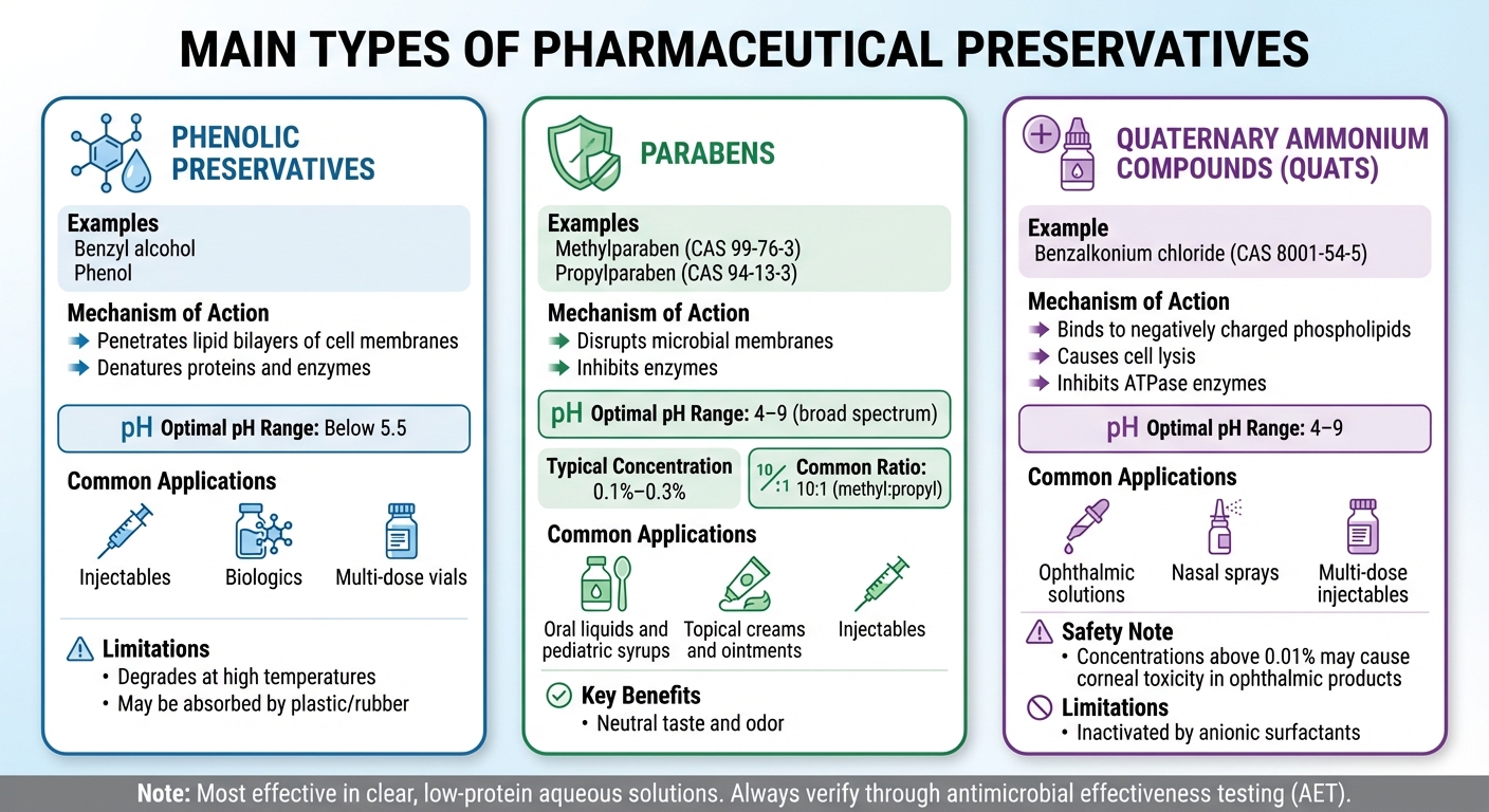 Main Types of Pharmaceutical Preservatives: Mechanisms and Applications