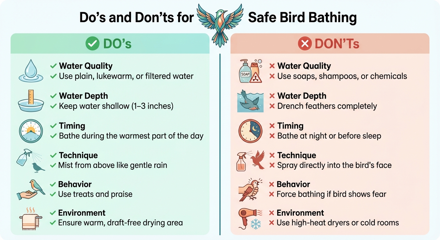 Do's and Don'ts for Safe Small Bird Bathing