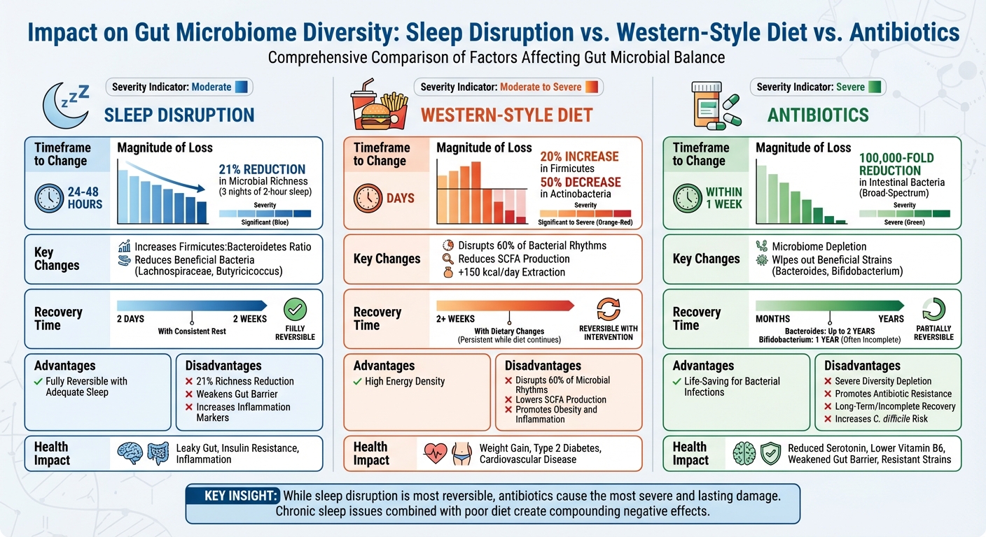 Sleep, Diet, and Antibiotics Impact on Gut Microbiome Diversity