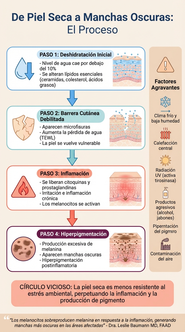 Cómo la resequedad causa hiperpigmentación en la piel: proceso paso a paso
