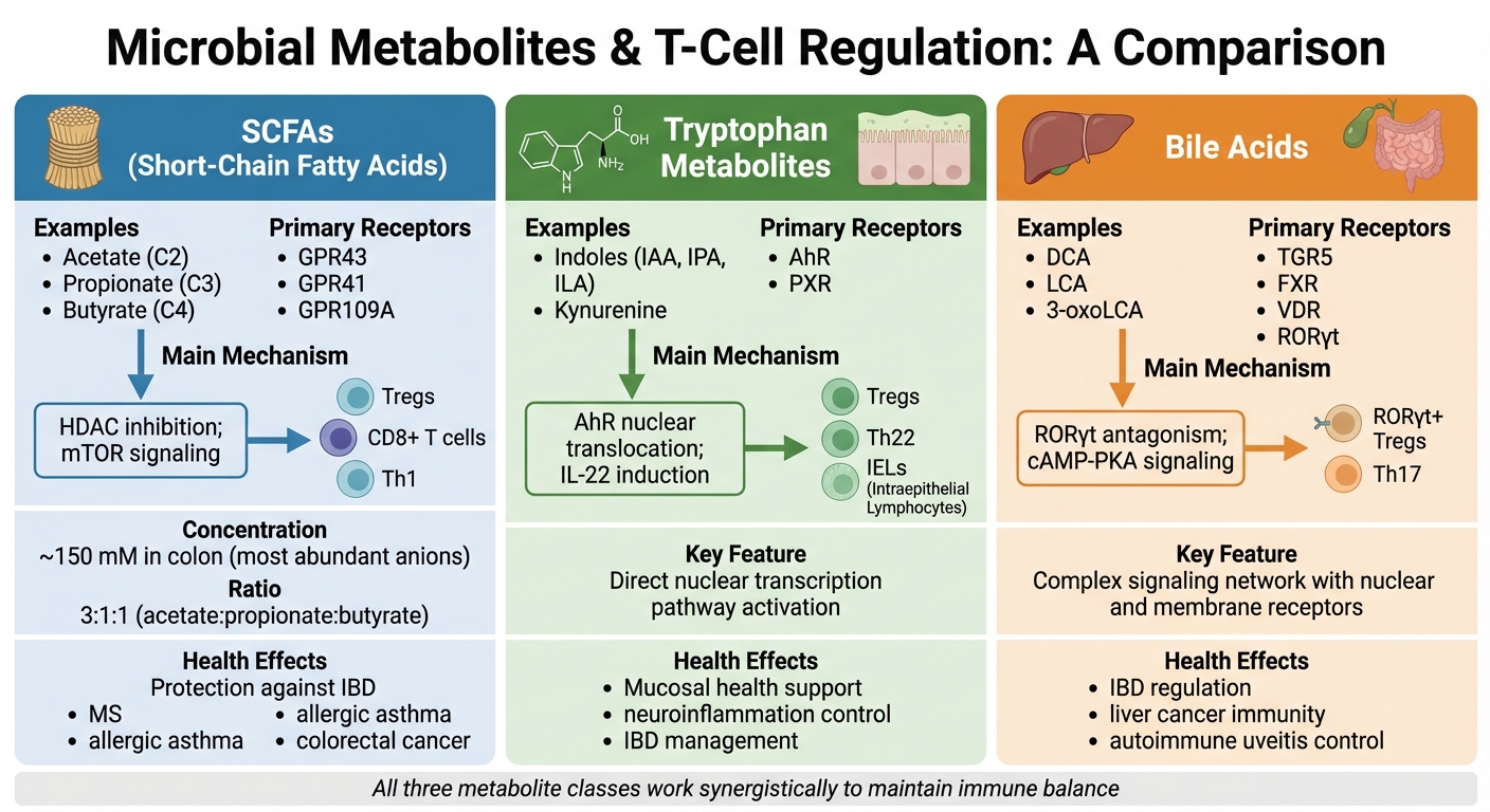 How Microbial Metabolites Regulate T-Cell Differentiation: SCFAs vs Tryptophan vs Bile Acids