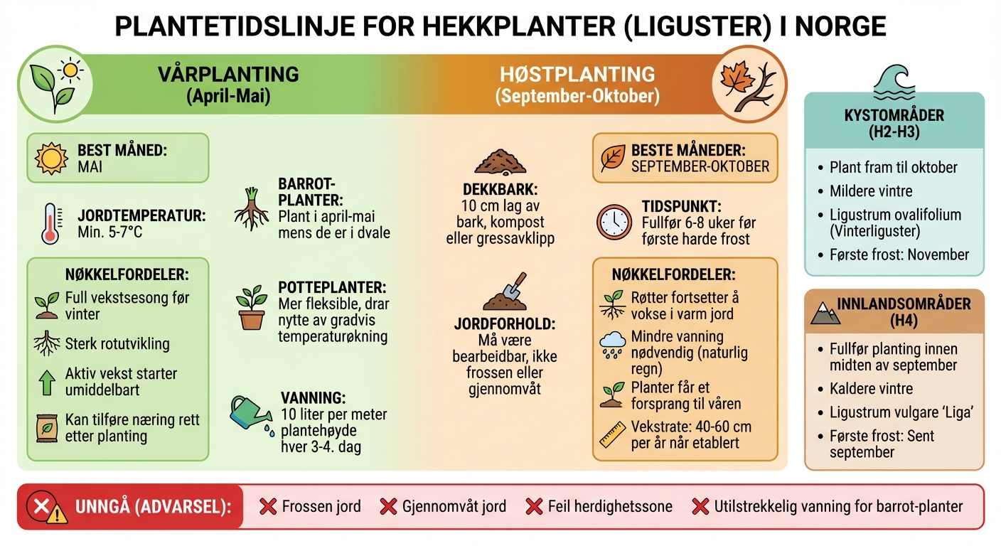 Beste tidspunkt for planting av hekkplanter i Norge - vår vs høst