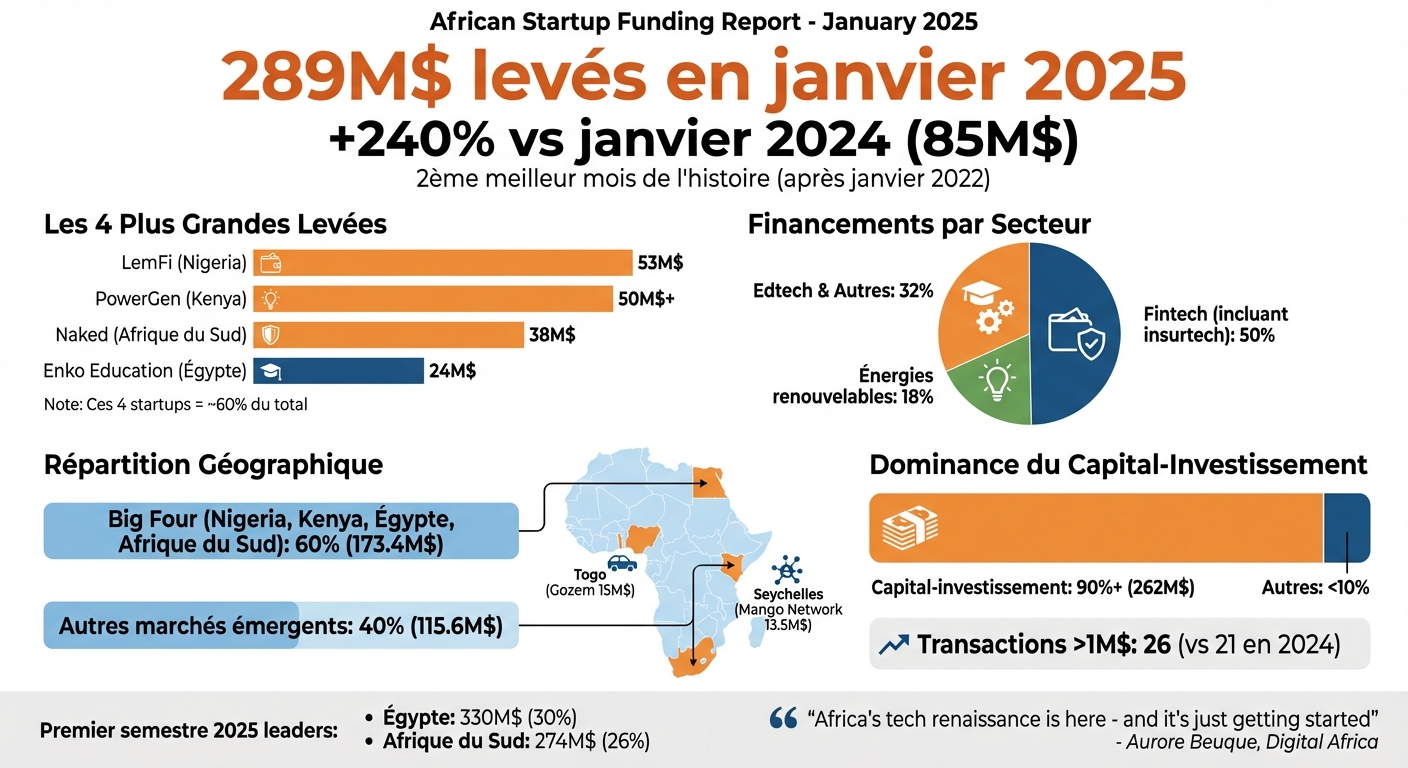 Financement startups africaines janvier 2025 : 289M$ levés par secteur et pays