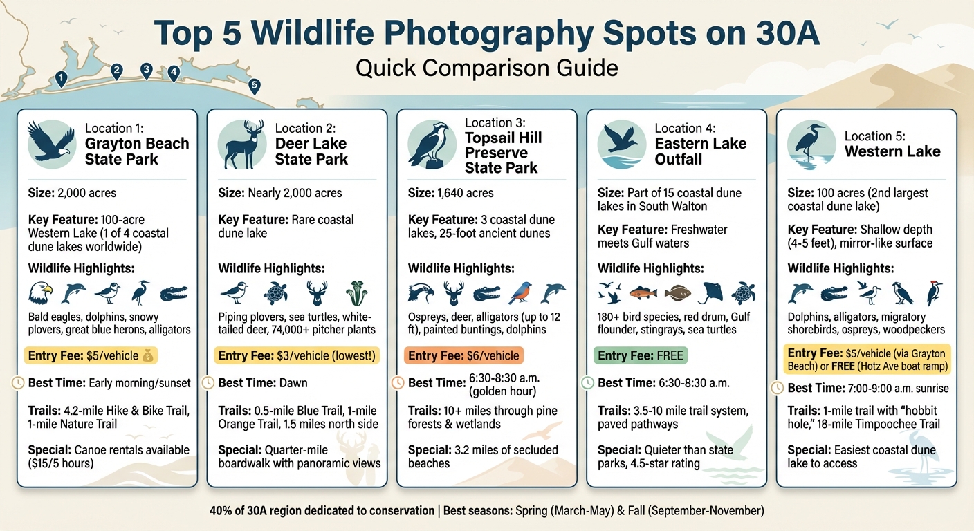 Top 5 Wildlife Photography Spots on 30A: Quick Comparison Guide