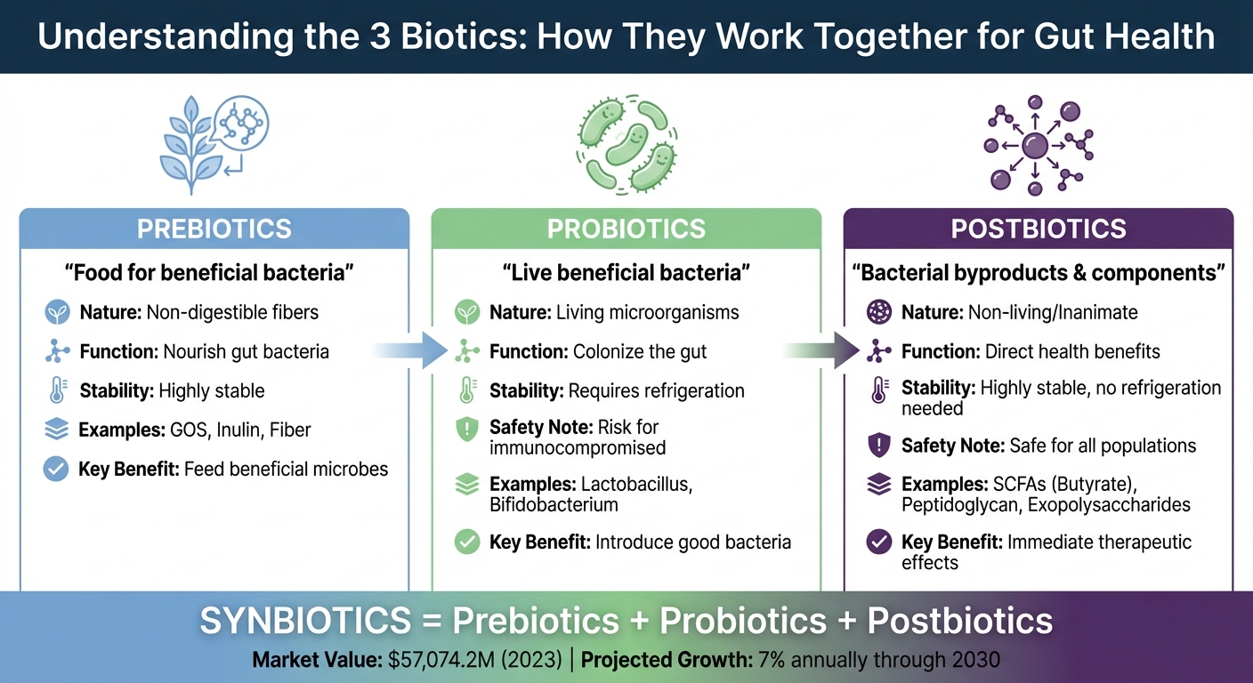 Prebiotics vs Probiotics vs Postbiotics: Key Differences and Benefits