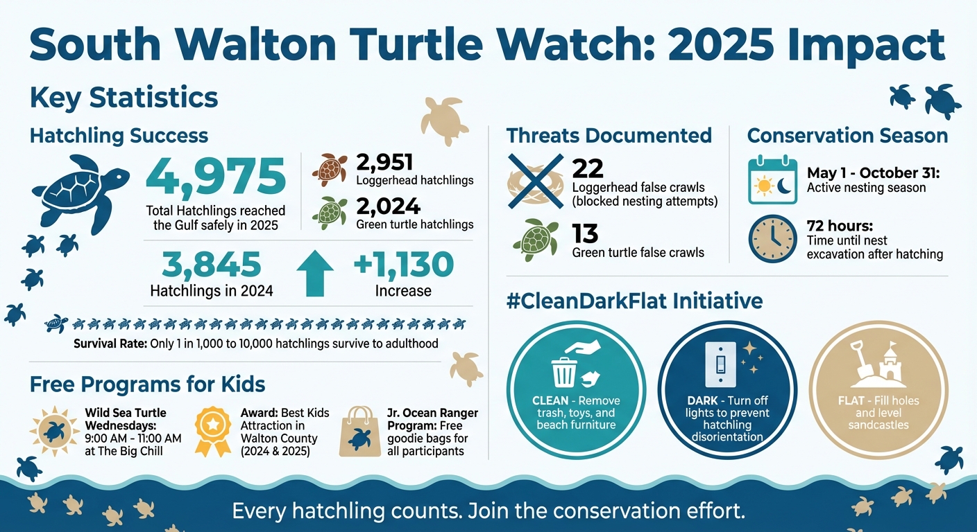 South Walton Turtle Watch 2025 Impact: Hatchling Success & Conservation Statistics
