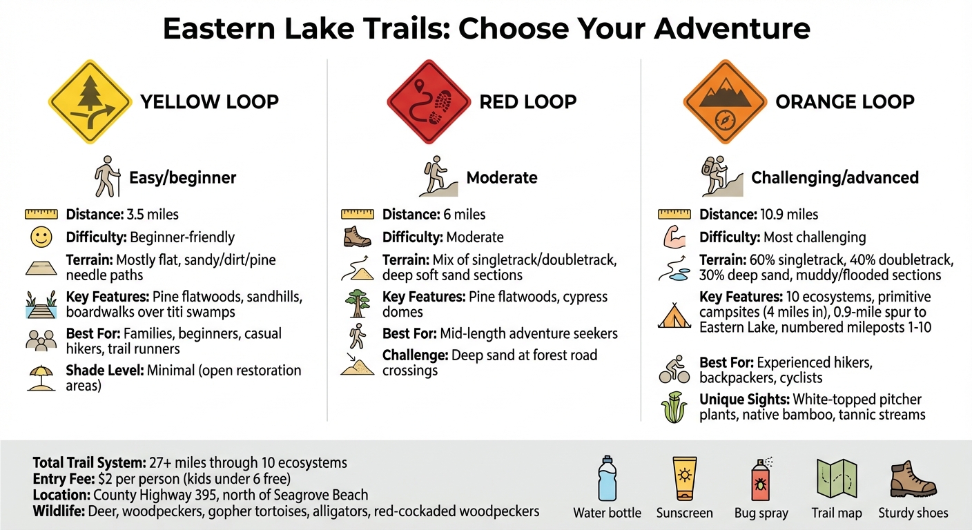 Point Washington State Forest Eastern Lake Trail Loops Comparison Guide
