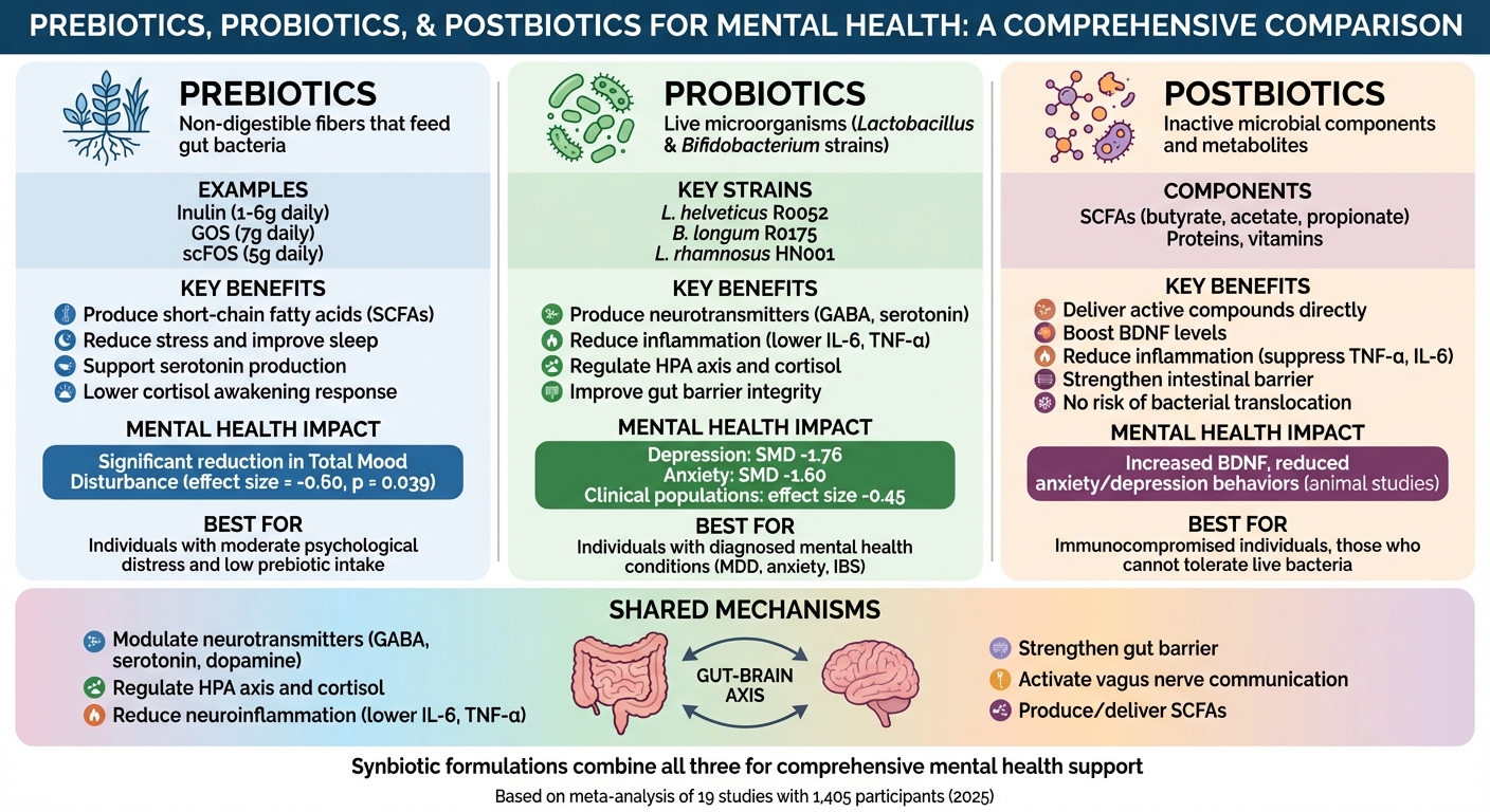 Prebiotics vs Probiotics vs Postbiotics: How They Support Mental Health