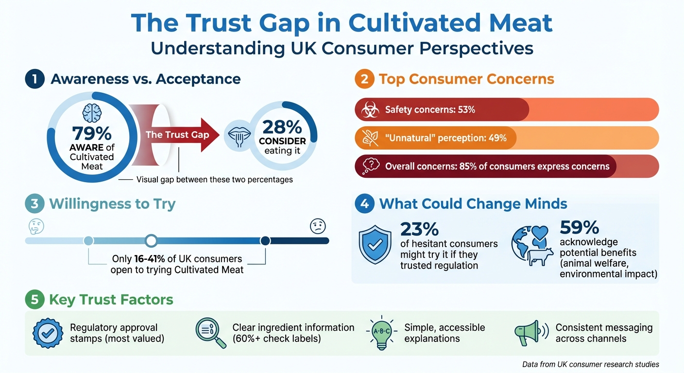 UK Consumer Attitudes Toward Cultivated Meat: Awareness, Acceptance, and Concerns