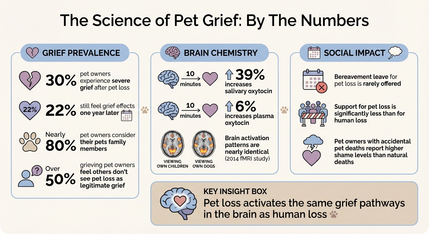 Pet Loss Grief Statistics and Brain Science Facts