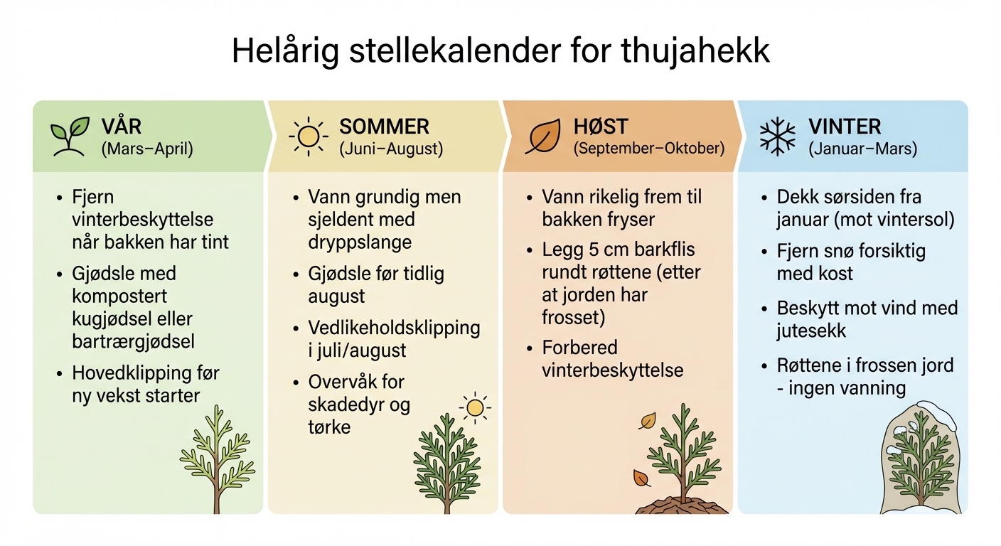 Sesongbasert stellekalender for thujahekk - vår, sommer, høst og vinter