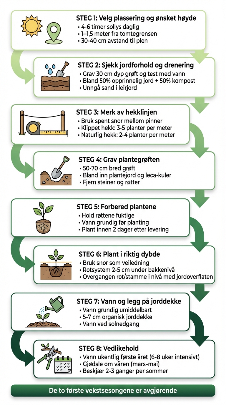 8 steg for planting av ligusterhekk - komplett guide