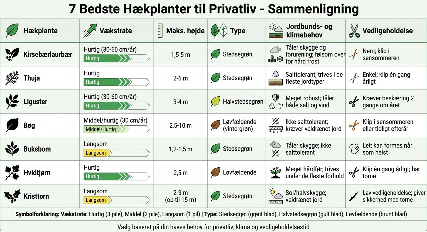 Sammenligning af 7 populære hækplanter til danske haver