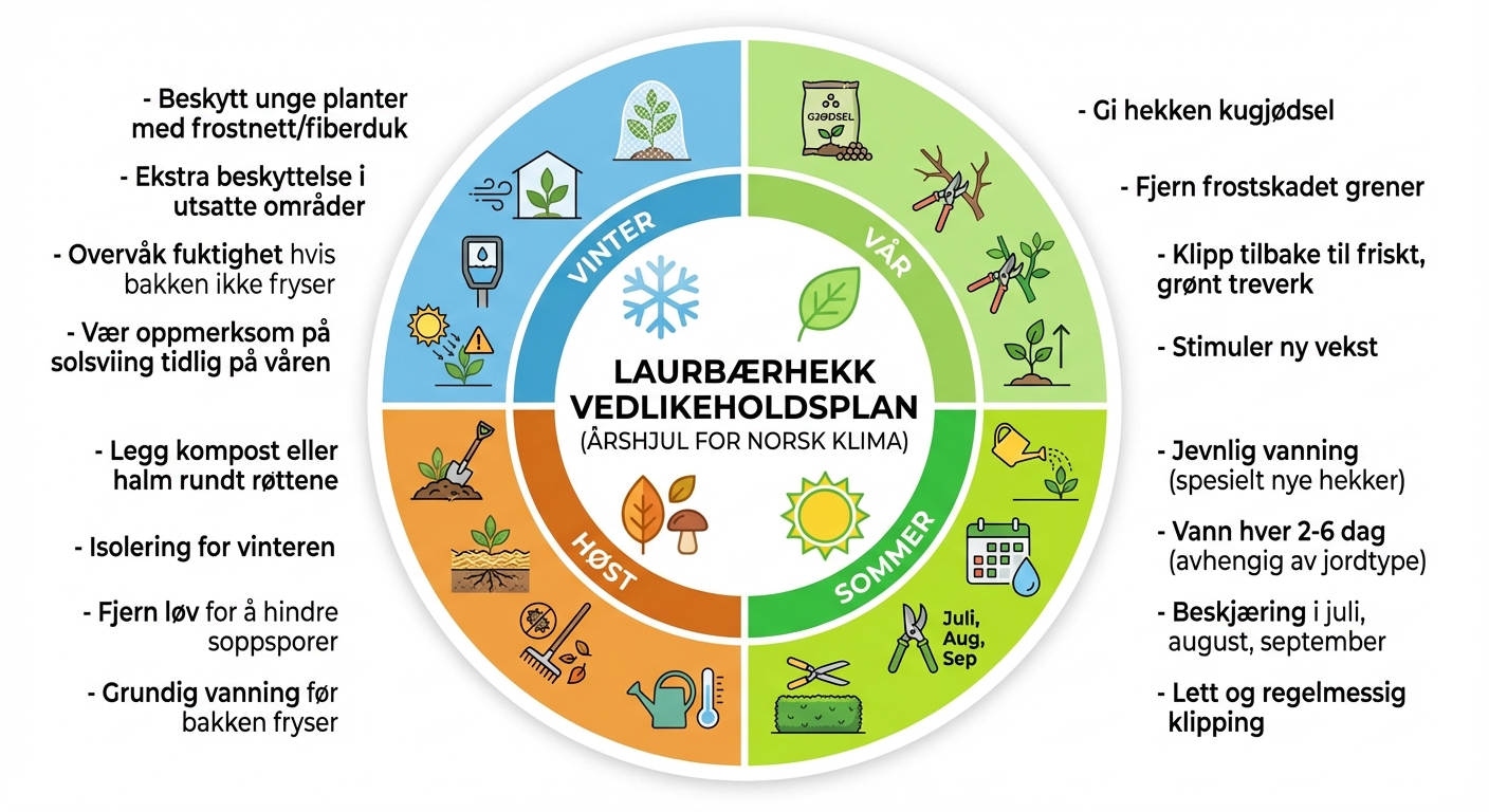 Sesongbasert vedlikeholdsguide for laurbærhekk - vår, sommer, høst og vinter