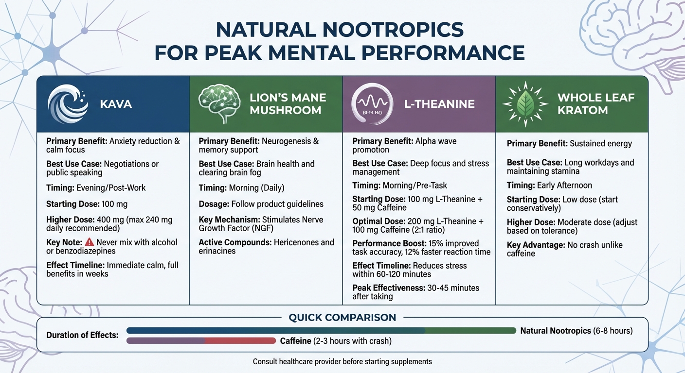 Natural Nootropics Guide: Benefits, Timing, and Dosage for Peak Focus