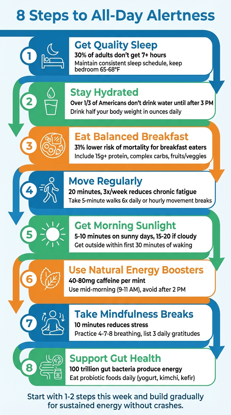 8 Steps to All-Day Energy and Alertness