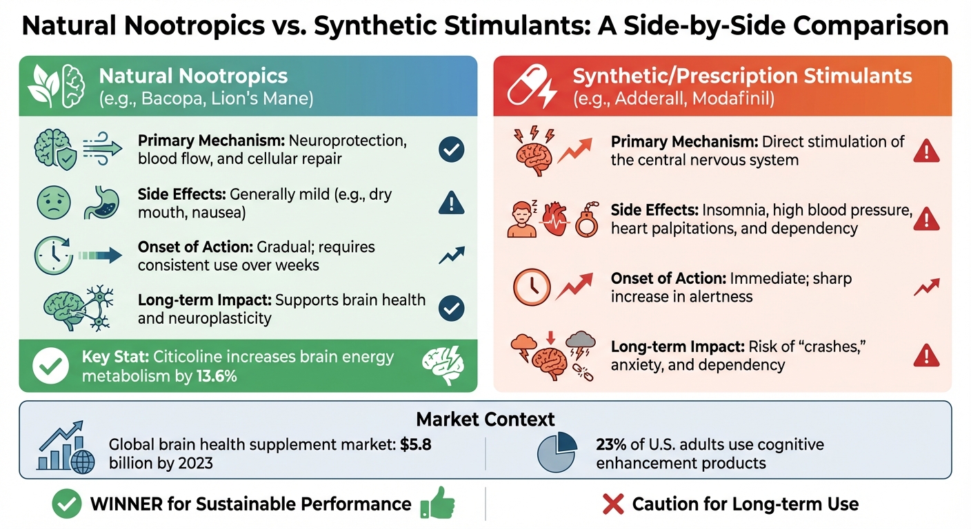 Natural Nootropics vs Synthetic Stimulants Comparison