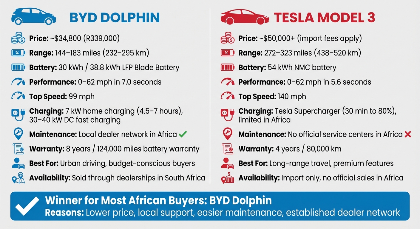 BYD Dolphin vs Tesla Model 3 Comparison for African Buyers