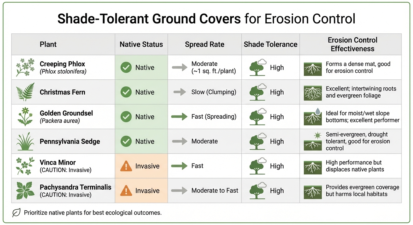 Shade-Tolerant Ground Cover Plants for Erosion Control Comparison