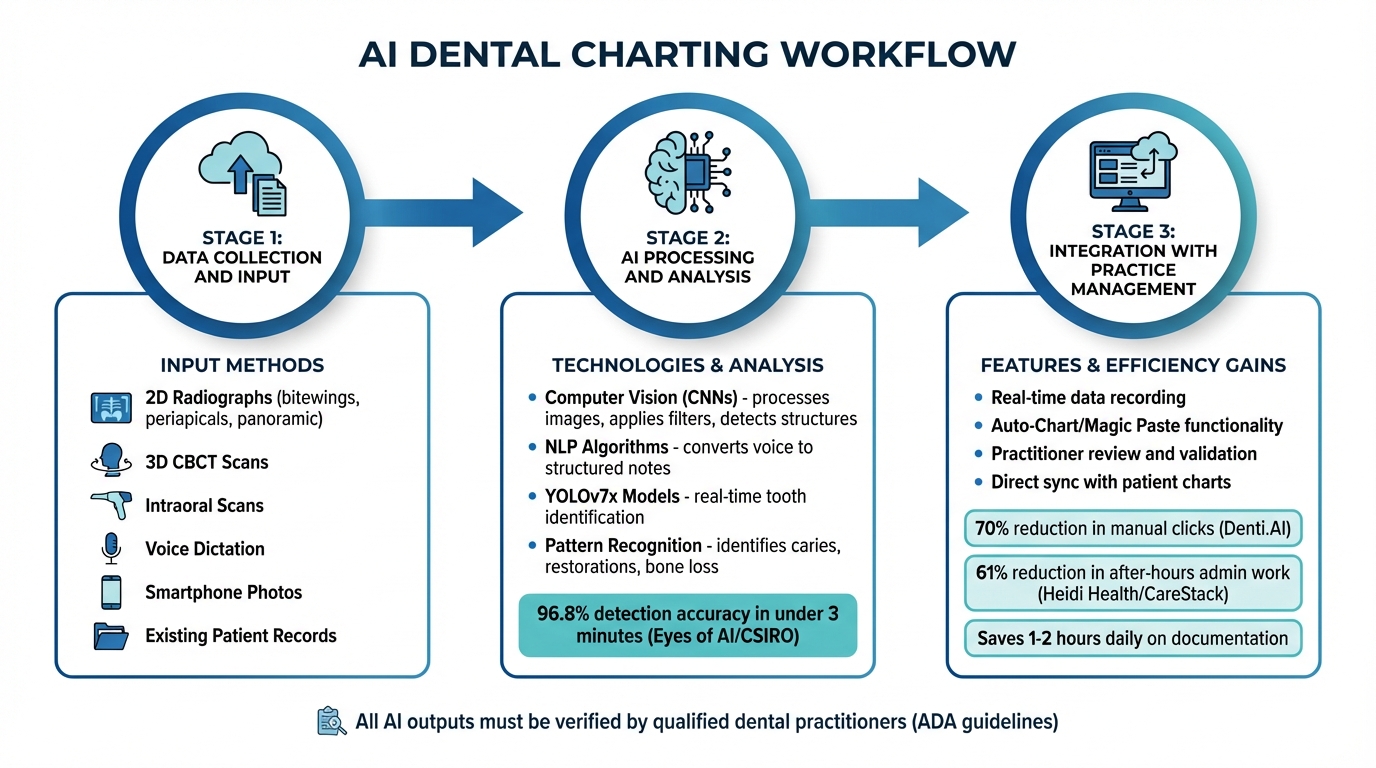How AI Dental Charting Works: 3-Stage Process from Data Collection to Practice Integration