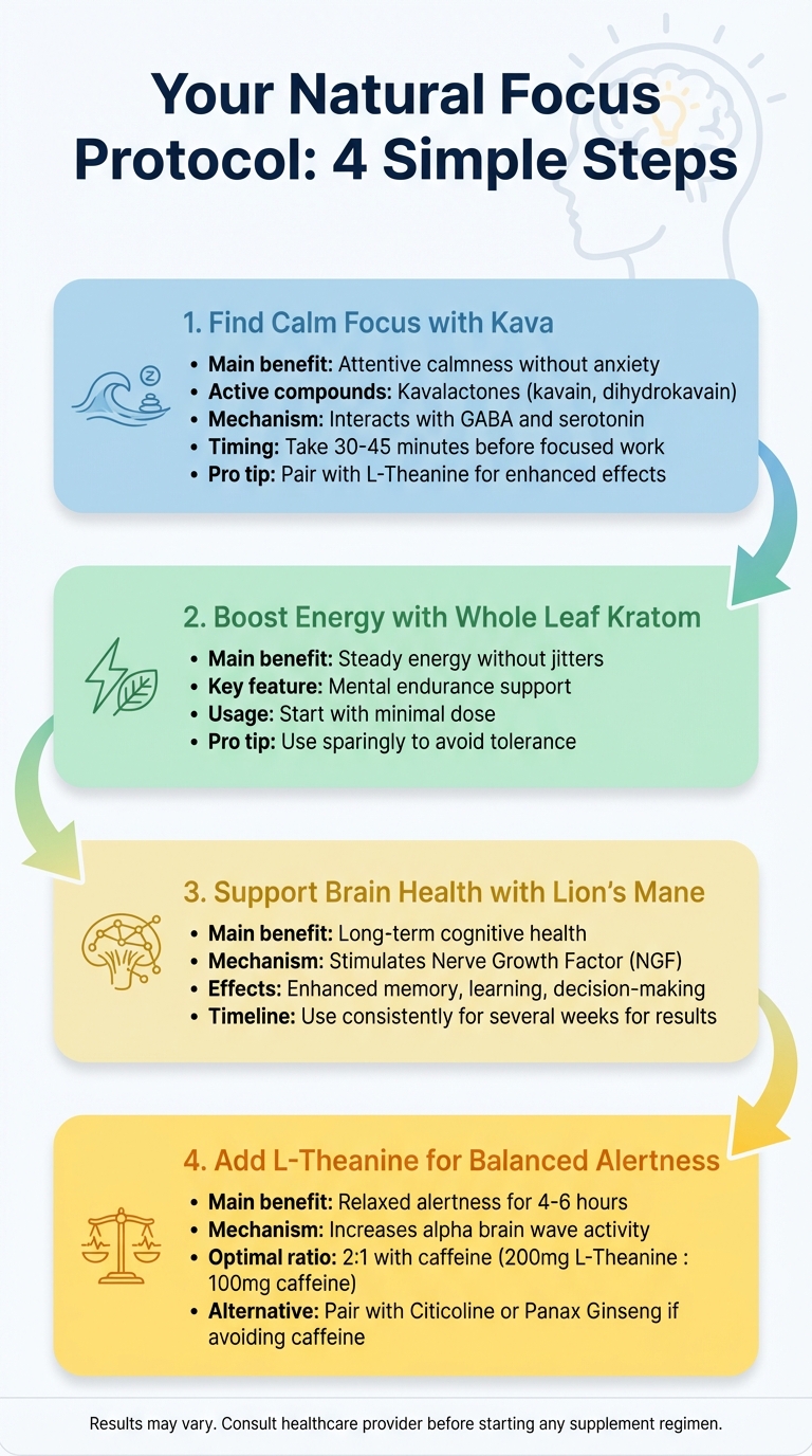 4-Step Natural Focus Enhancement Protocol
