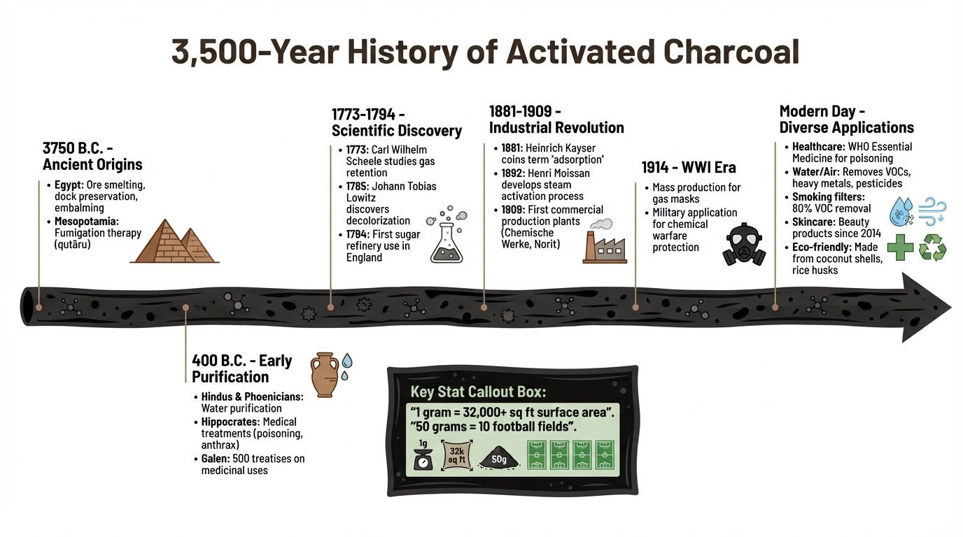 3,500-Year History of Activated Charcoal: From Ancient Egypt to Modern Applications