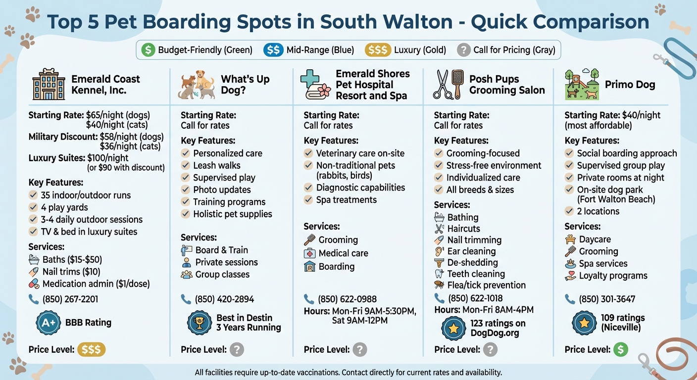 South Walton Pet Boarding Facilities Comparison: Rates, Services & Features