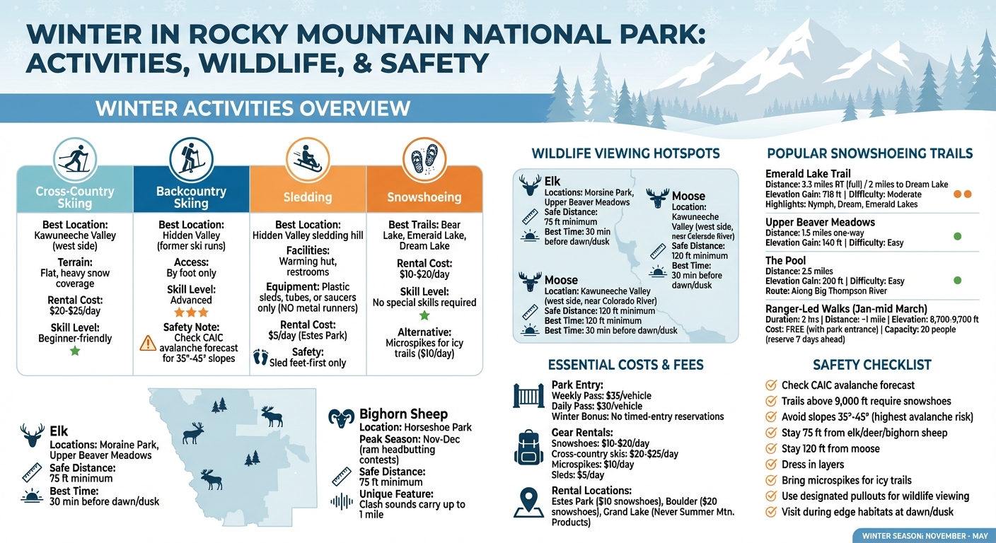 Winter Activities Guide for Rocky Mountain National Park: Costs, Locations & Safety Tips