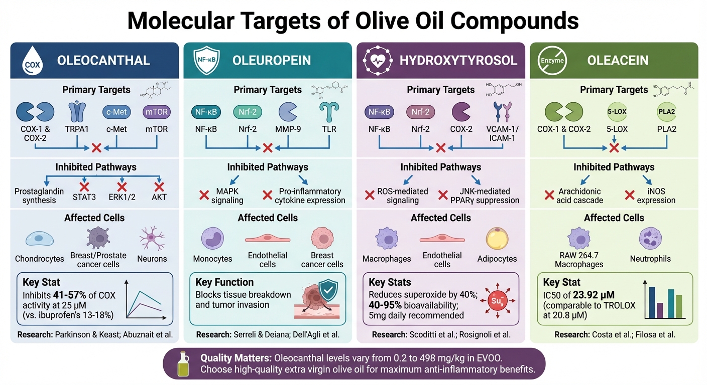 How Olive Oil Compounds Fight Inflammation: Molecular Targets and Mechanisms