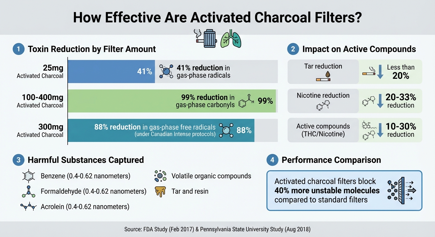 Activated Charcoal Filter Effectiveness: Toxin Reduction Statistics
