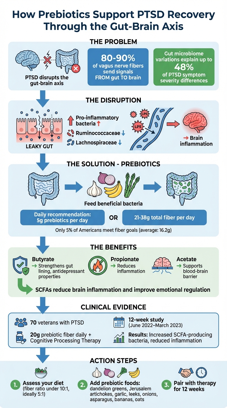 How Prebiotics Support PTSD Recovery Through the Gut-Brain Axis