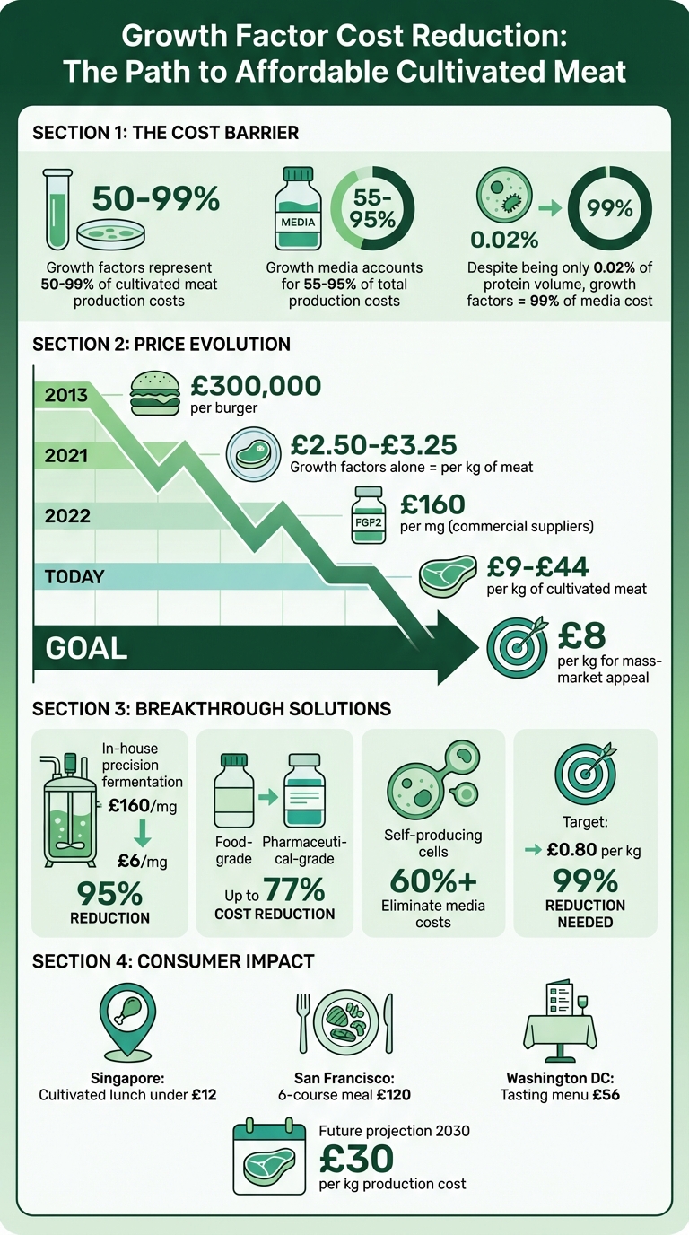 Cultivated Meat Cost Reduction Timeline: From £300,000 to £8 per kg