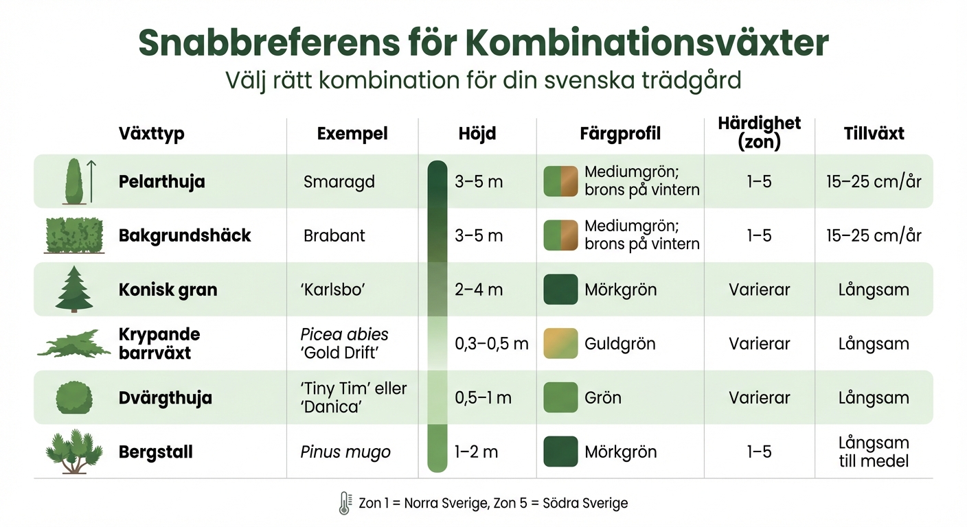 Kombinationsguide för Thuja och Barrväxter - Höjd, Färg och Härdighet