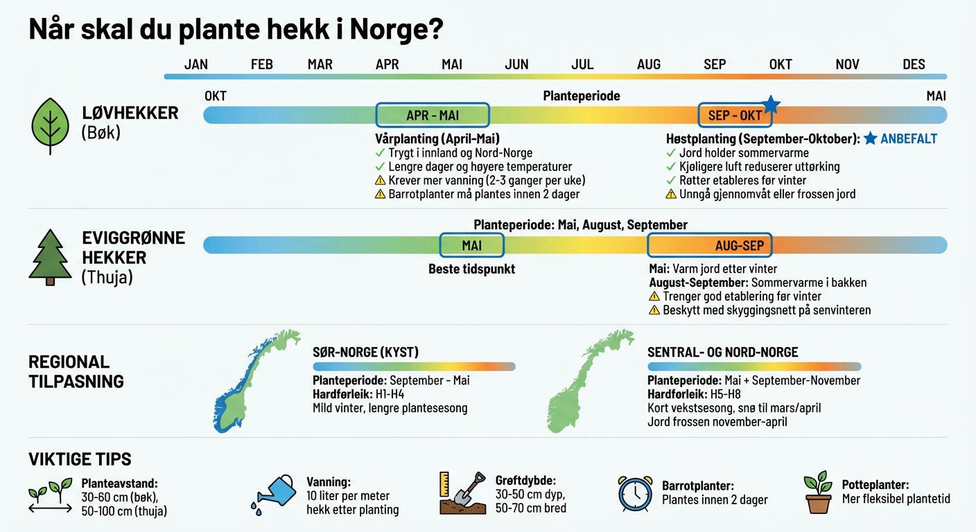 Plantekalender for hekk i Norge - beste tidspunkt etter hekktype og region