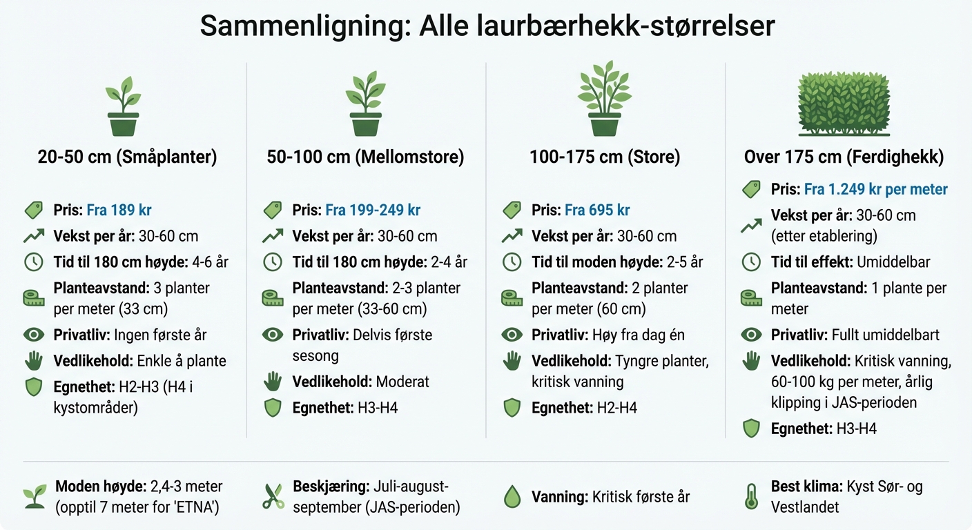 Sammenligning av laurbærhekk-størrelser: pris, vekst og vedlikehold
