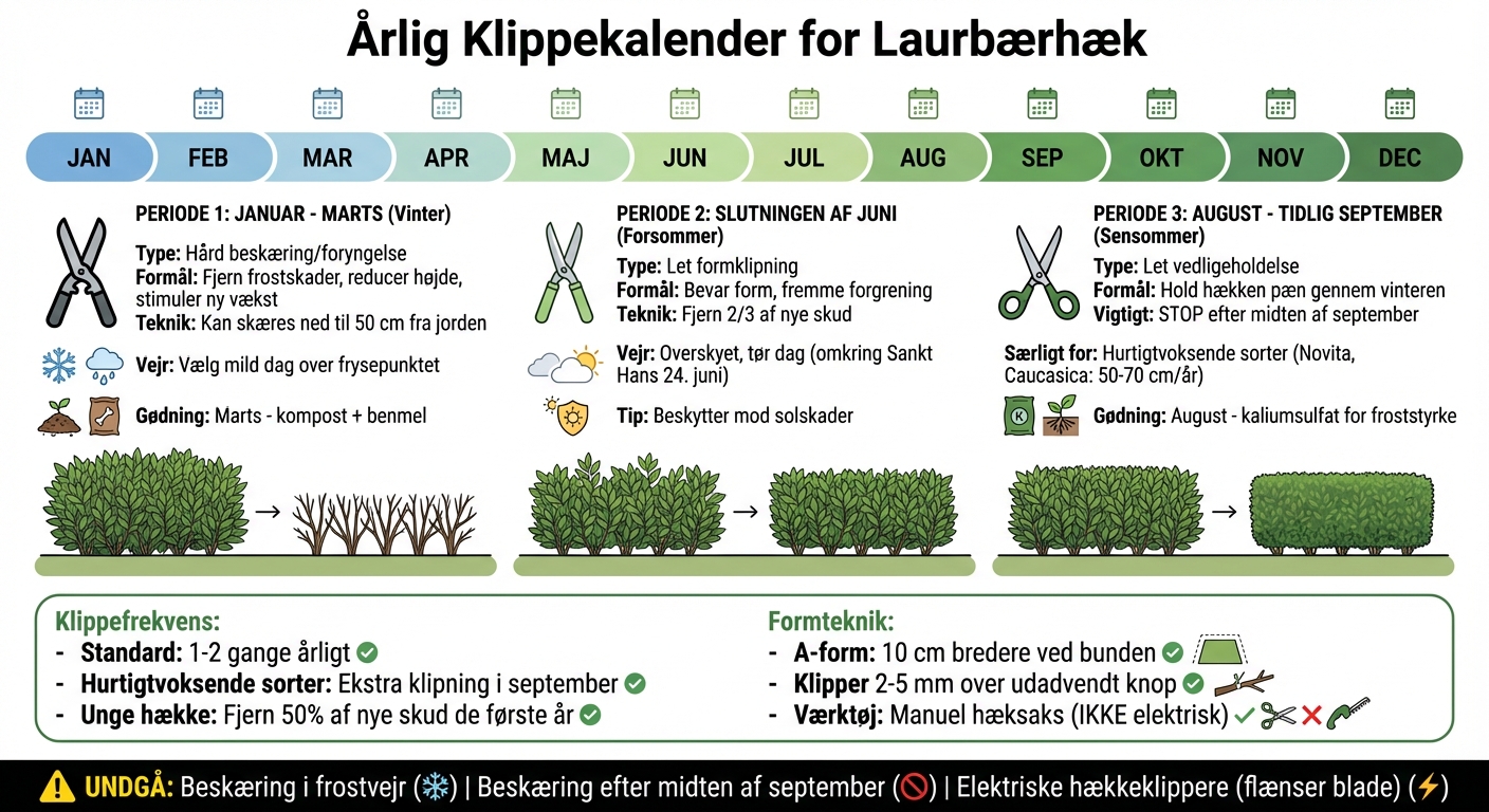 Årlig klippekalender for laurbærhæk - bedste tidspunkter og teknikker