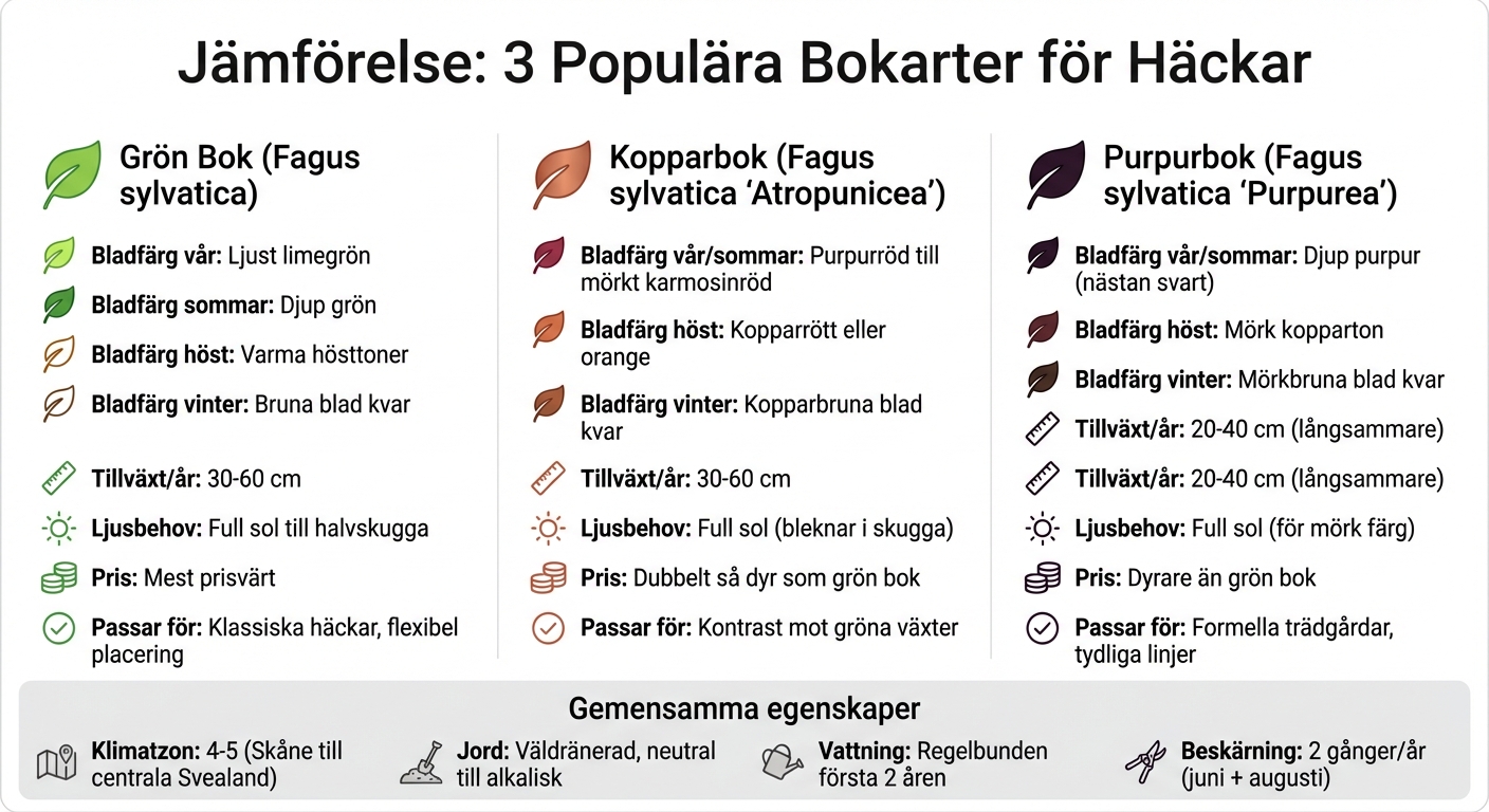 Jämförelse av grön bok, kopparbok och purpurbok för häckar