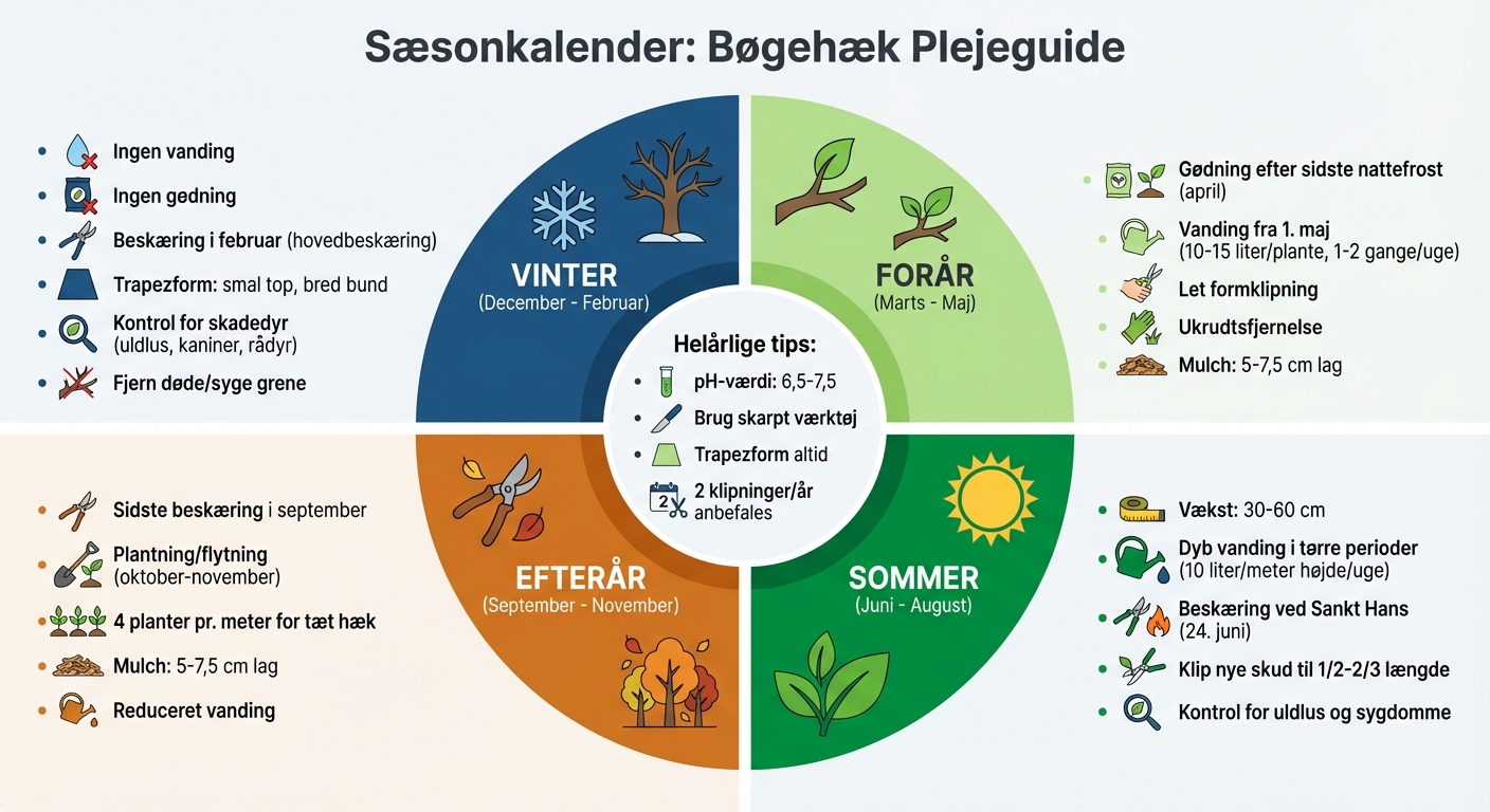 Årlig plejeguide for bøgehæk - sæsonbaseret tjekliste