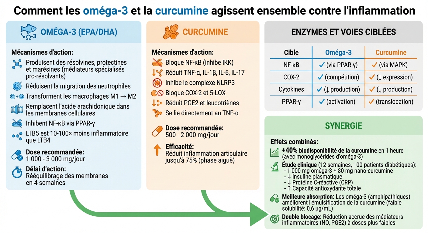 Mécanismes anti-inflammatoires des oméga-3 et de la curcumine