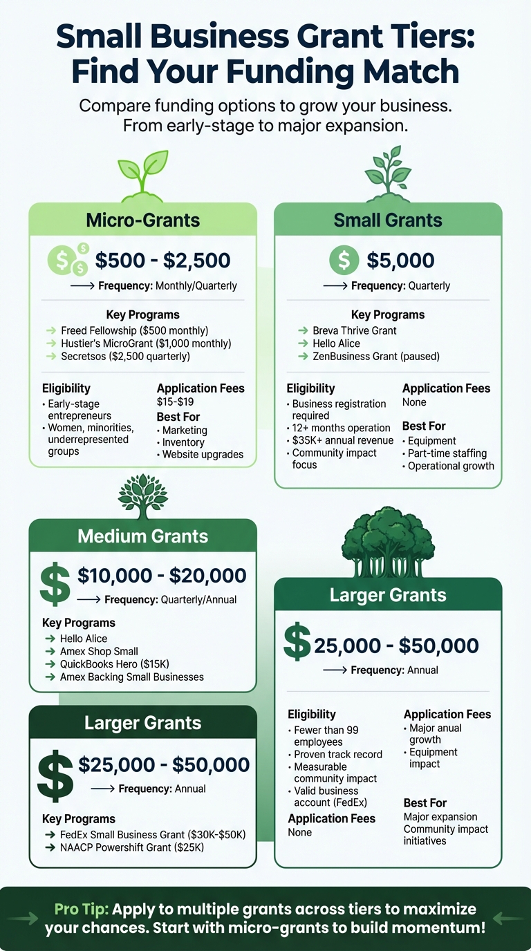 US Small Business Grant Tiers: Funding Amounts and Eligibility Requirements