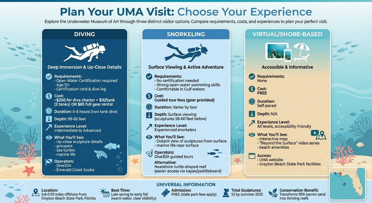 UMA Visitor Options Comparison: Diving vs Snorkeling vs Virtual Tours