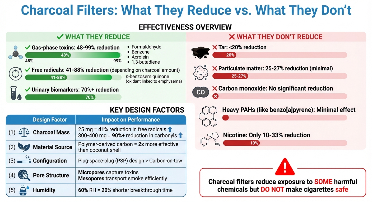 Charcoal Filter Effectiveness: What They Reduce vs. What They Don't