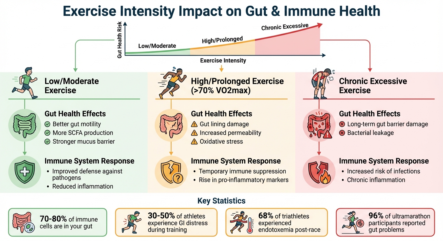 How Exercise Intensity Affects Gut Health and Immune Function in Athletes