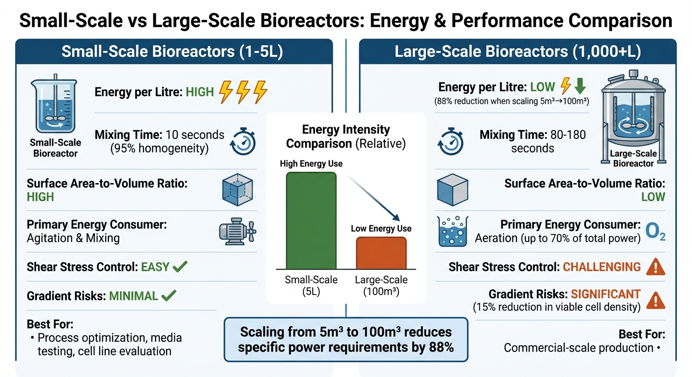 Small-Scale vs Large-Scale Bioreactor Energy Efficiency Comparison