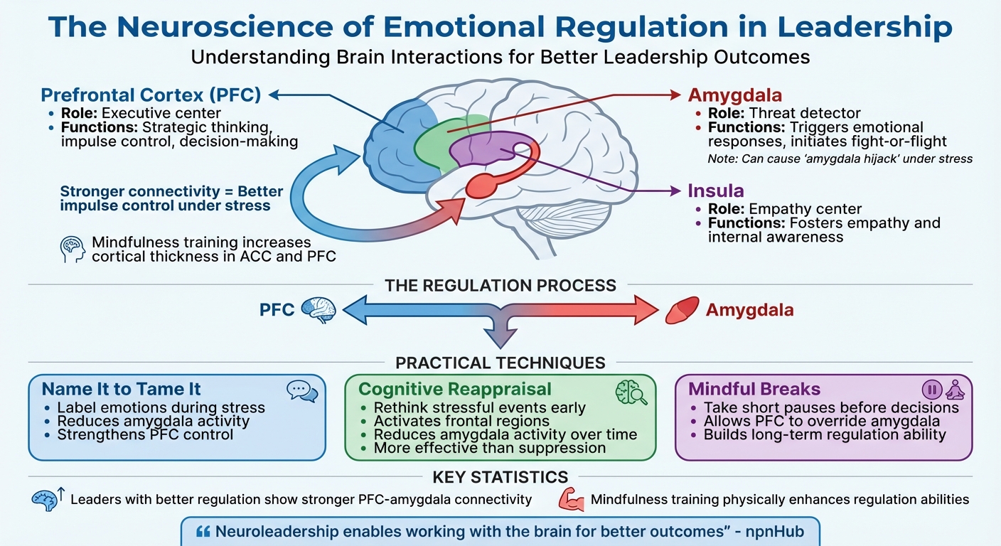 Brain Regions and Emotional Regulation Process for Leaders
